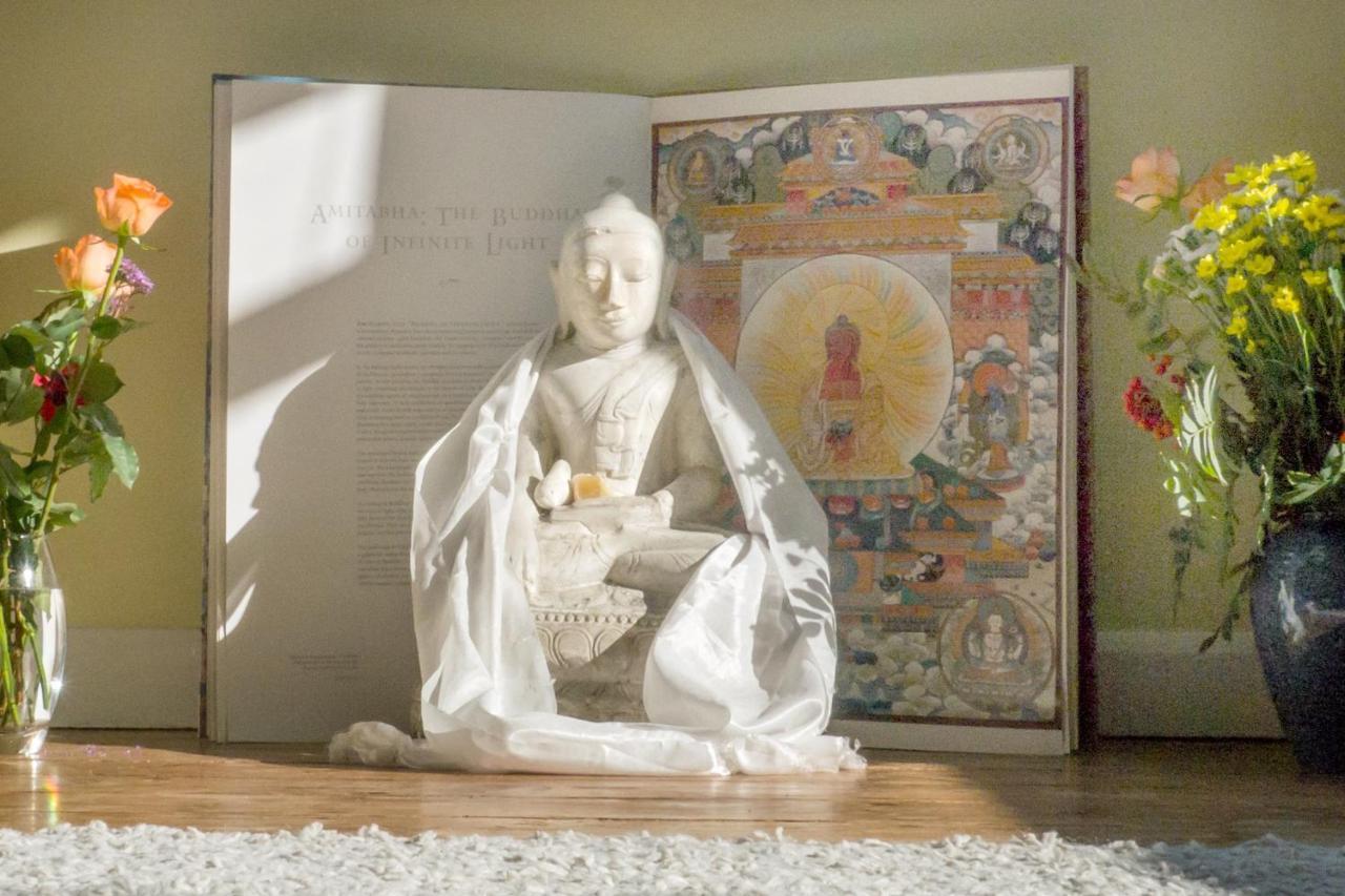 Healing Waters Sanctuary For Exclusive Private Hire And Self Catering Board, Vegetarian, Alcohol & Wifi Free Retreat In 글라스턴버리 외부 사진