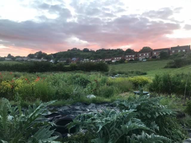 Healing Waters Sanctuary For Exclusive Private Hire And Self Catering Board, Vegetarian, Alcohol & Wifi Free Retreat In 글라스턴버리 외부 사진